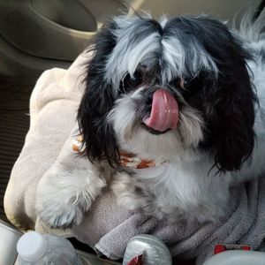 Meet your Posher, Gina